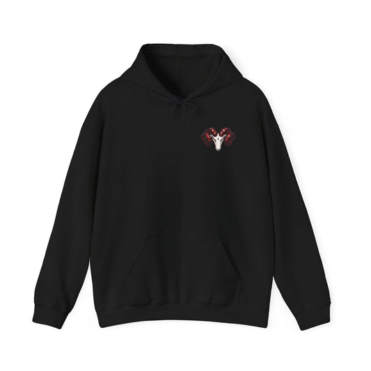 Elizabeth Lopes Muse black Aries Zodiac hoodie with ram crystal artwork, front view